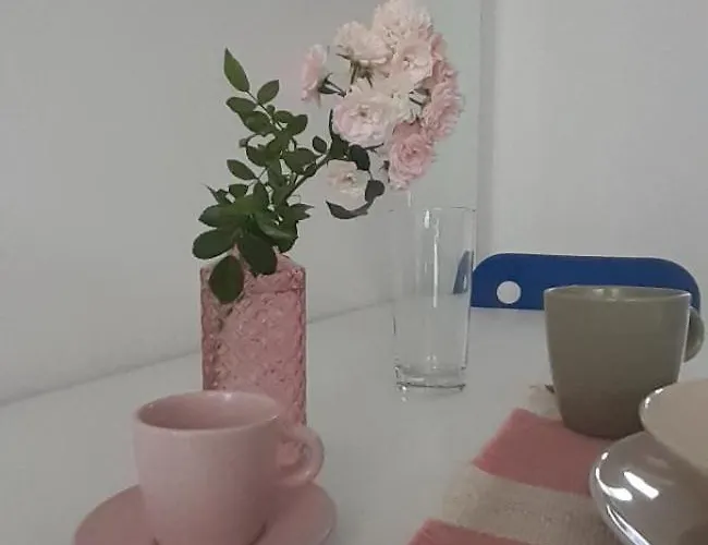 Apartma Pika Apartment *